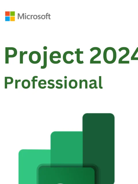 Project Professional 2024 – (PC)