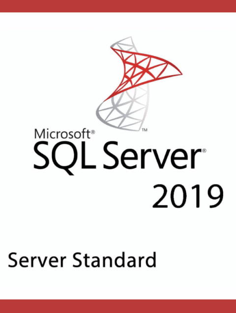 SQL Server 2019 Standard License – 1 User