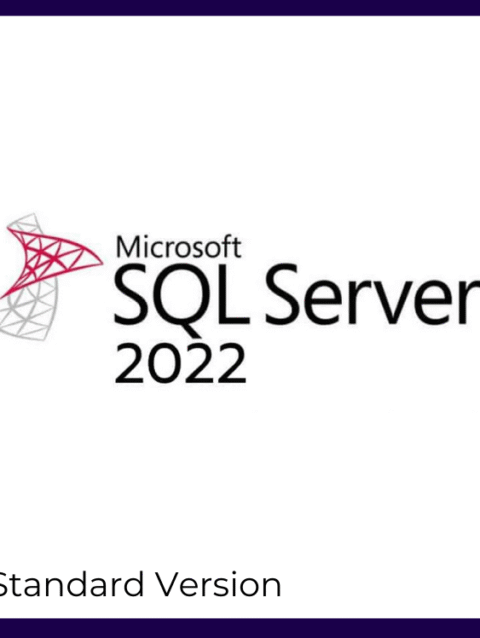 SQL Server 2022 Standard License